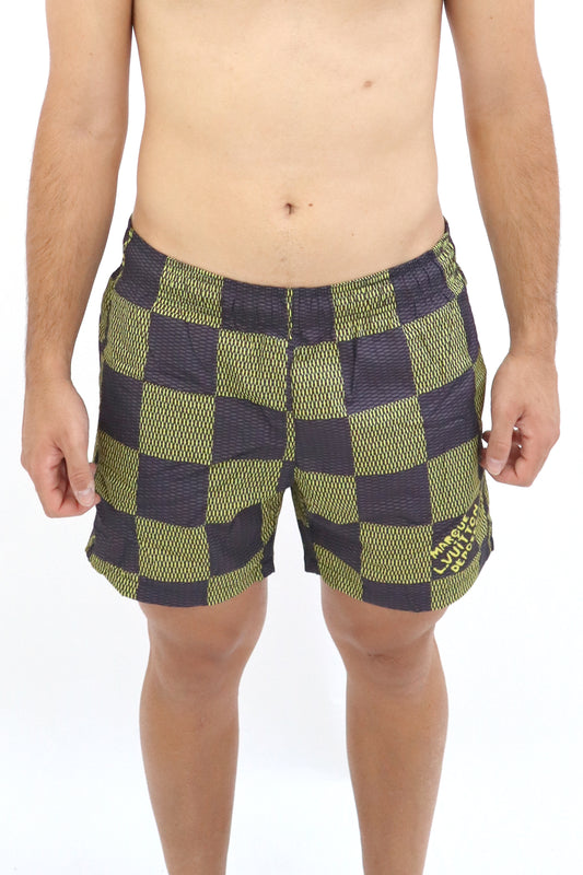 LV costume a quadri verde e blu